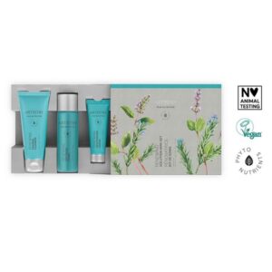 Возобновляющий набор для путешествий Artistry Skin Nutrition™