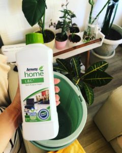 Amway home